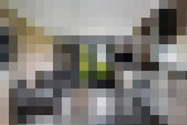 Sirtemawei 1 Ingelum thumbnail 40