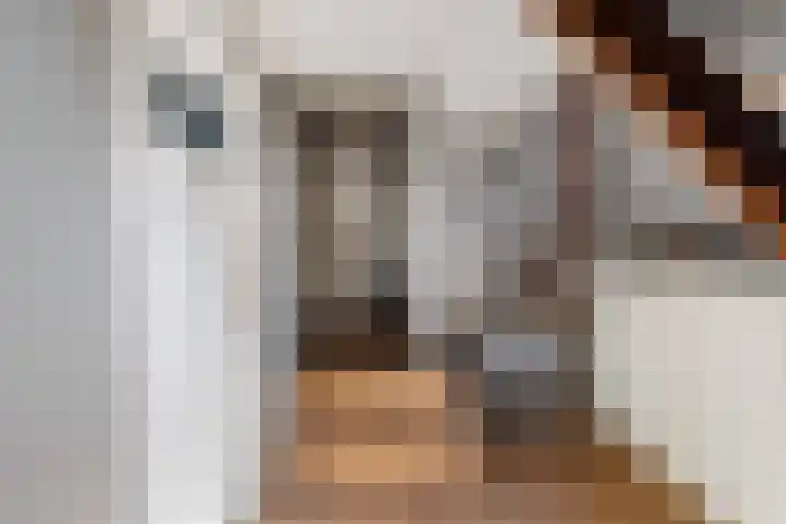 Sirtemawei 1 Ingelum thumbnail 43