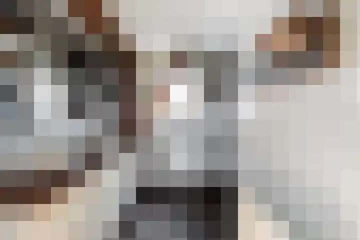 Sirtemawei 1 Ingelum thumbnail 53