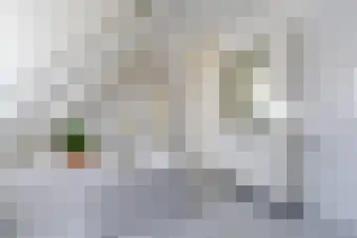 Sirtemawei 1 Ingelum thumbnail 64