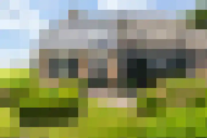 Sirtemawei 1 Ingelum thumbnail 9