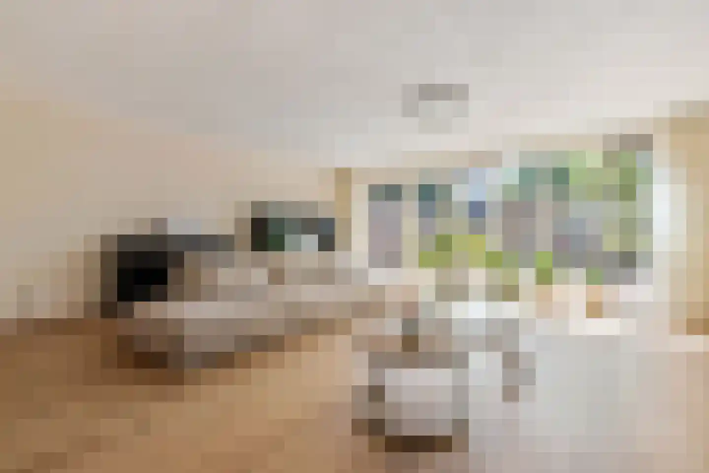 Sisleystraat 28 Almere thumbnail 8