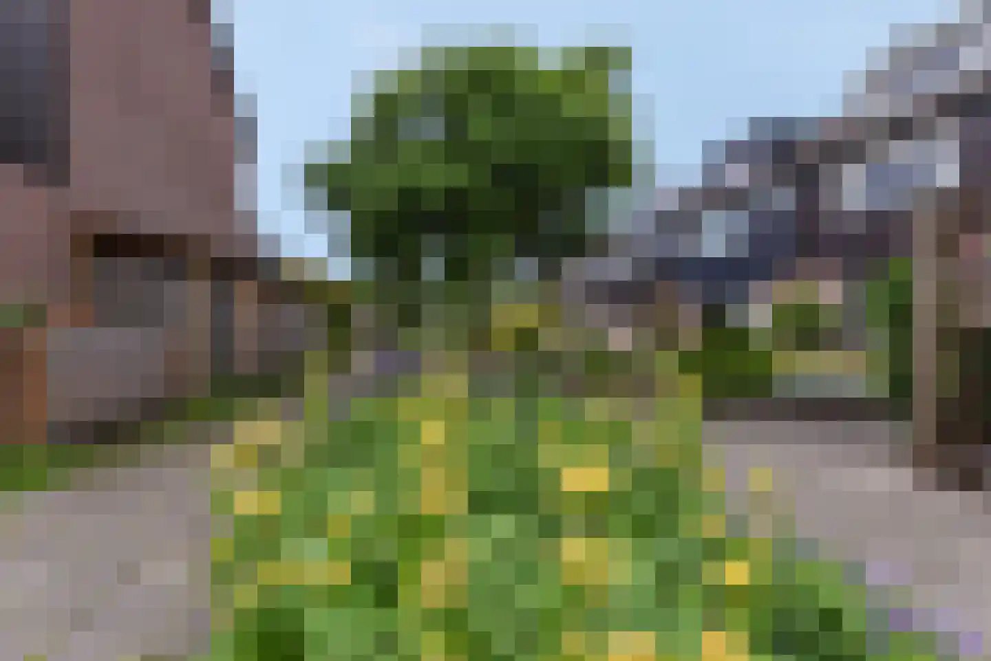 Sisselaarpad 15 Amersfoort thumbnail 10