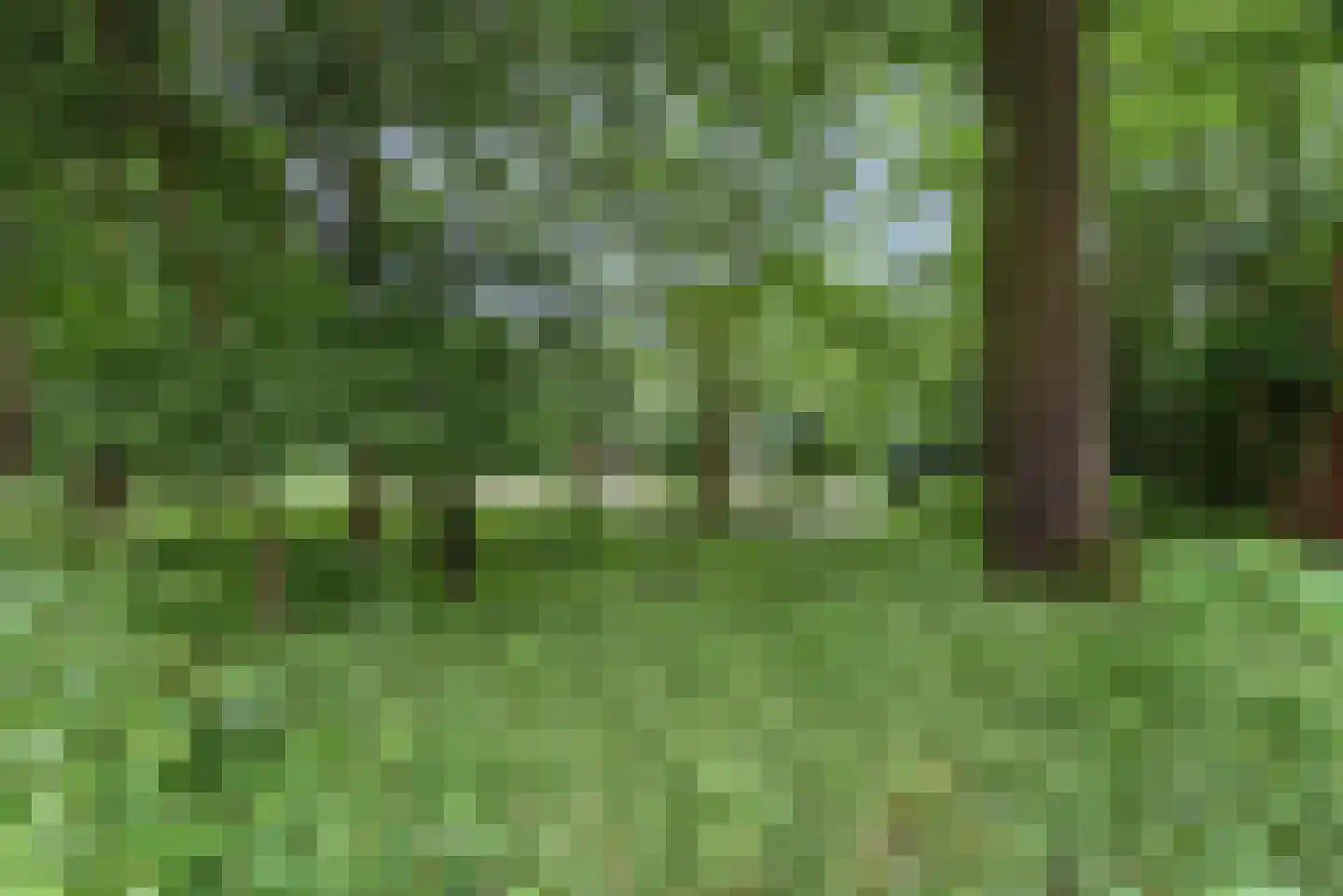 Sisselaarpad 15 Amersfoort thumbnail 33