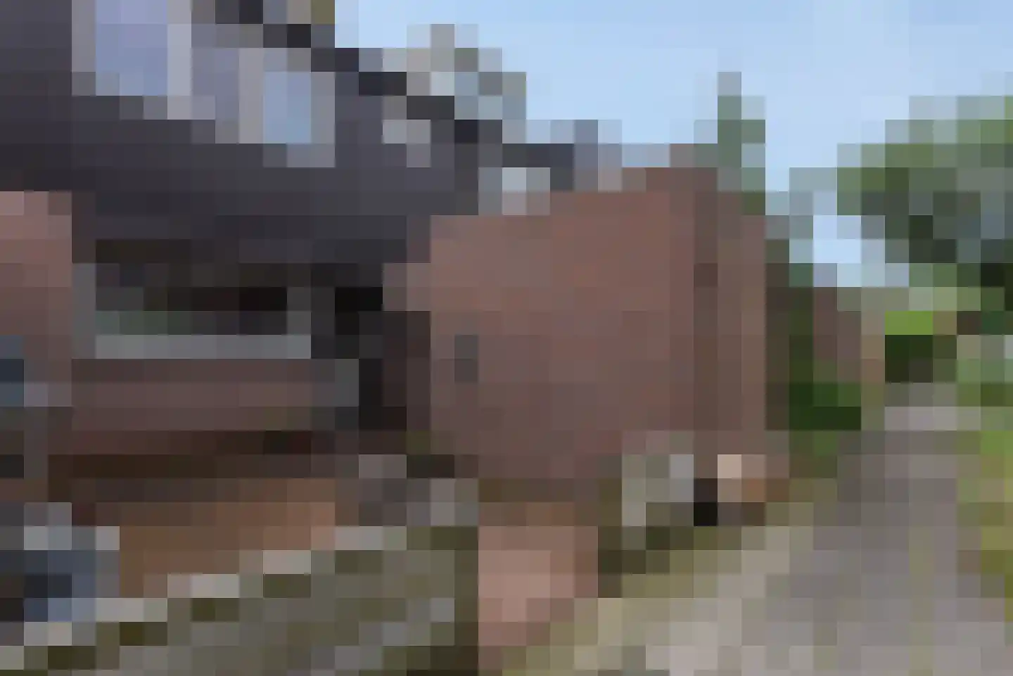 Sisselaarpad 15 Amersfoort thumbnail 8
