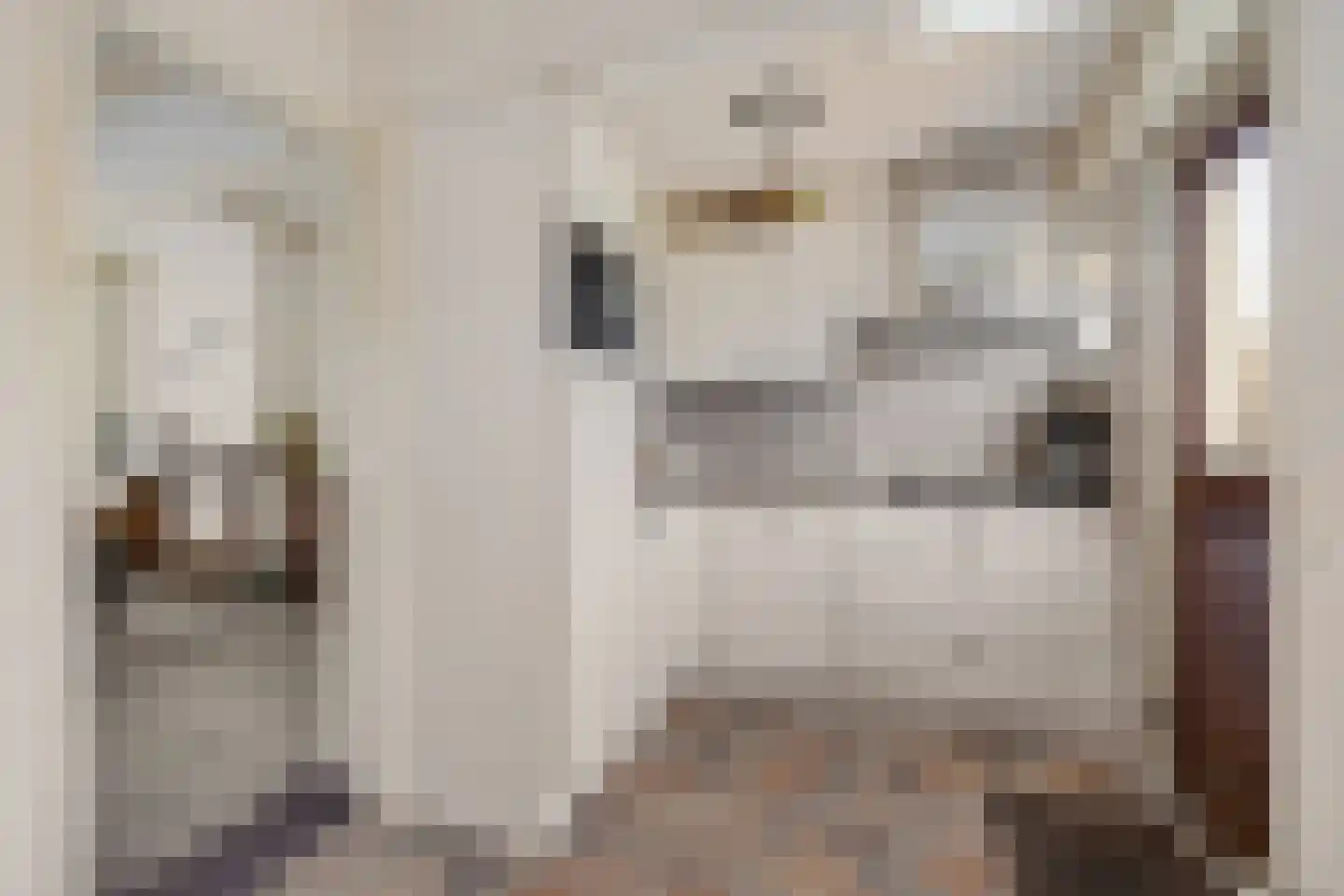 Sitadel 13 Akkrum thumbnail 12