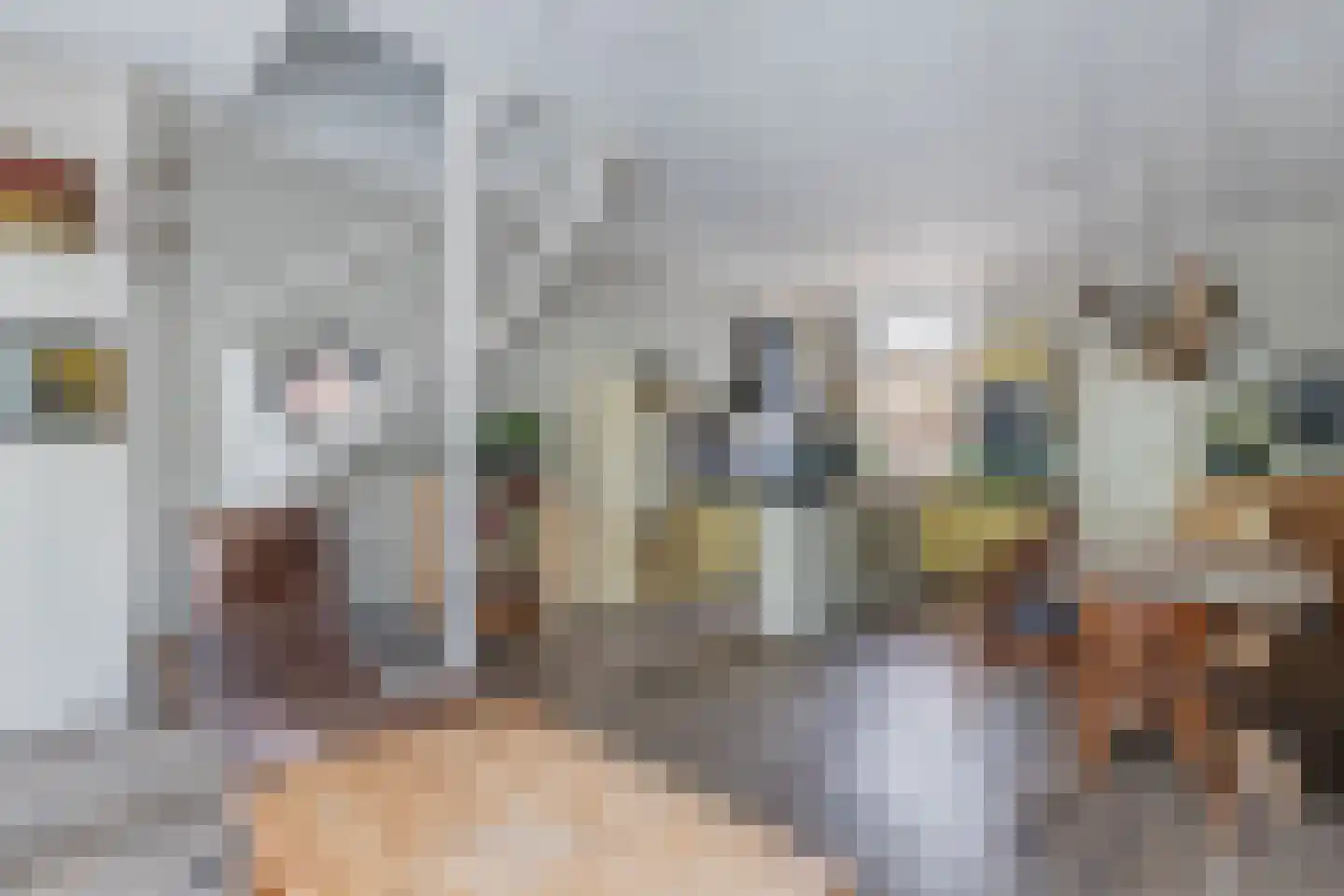 Sitadel 22 Akkrum thumbnail 14