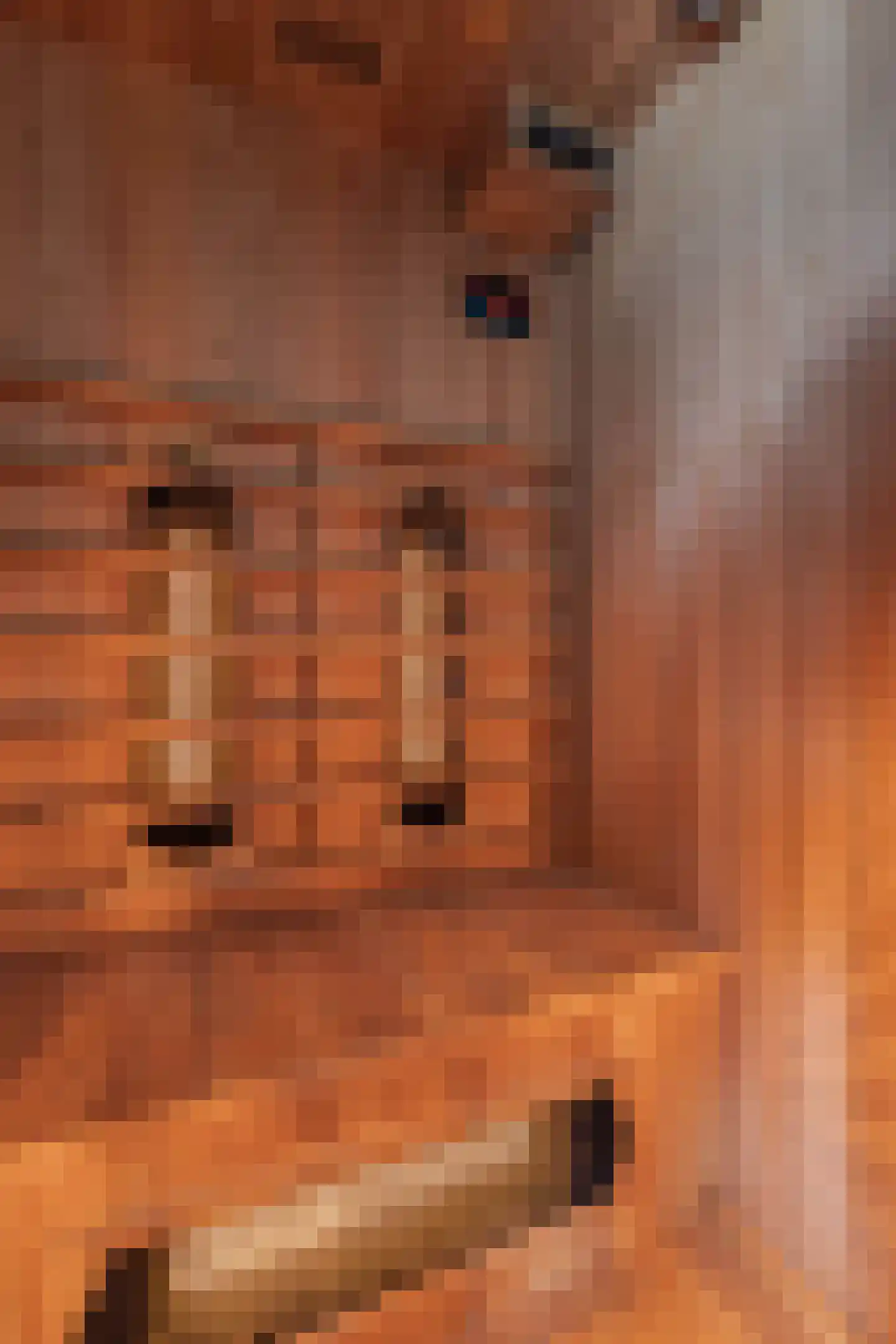 Sitadel 22 Akkrum thumbnail 24