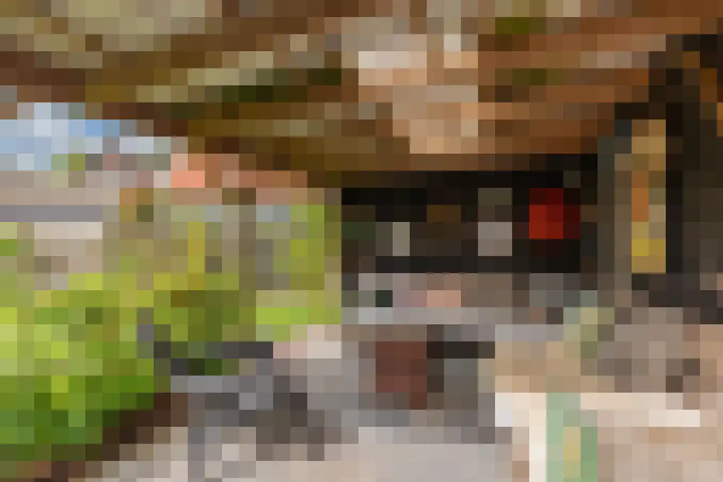 Sitadel 22 Akkrum thumbnail 45