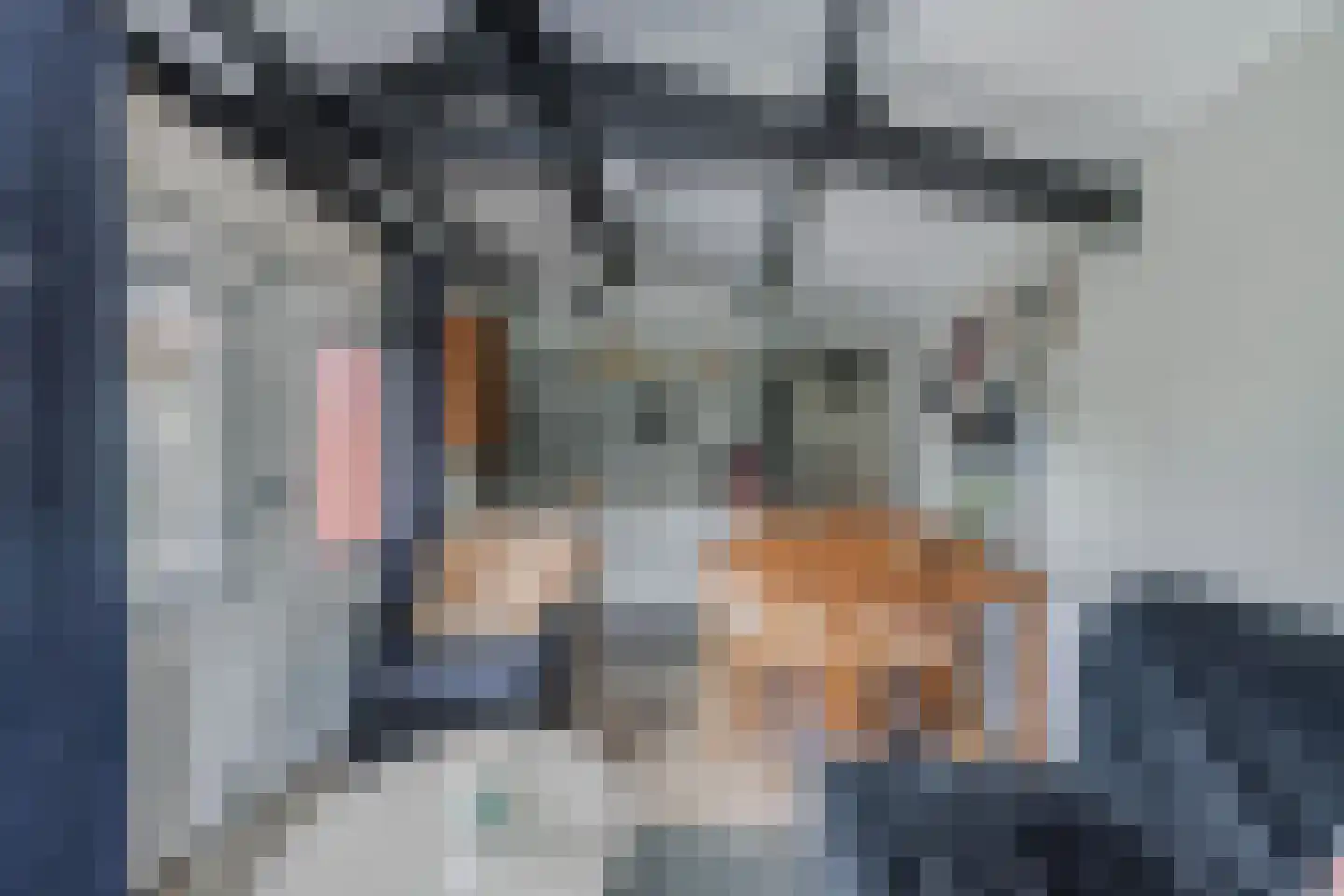Sitadel 22 Akkrum thumbnail 48