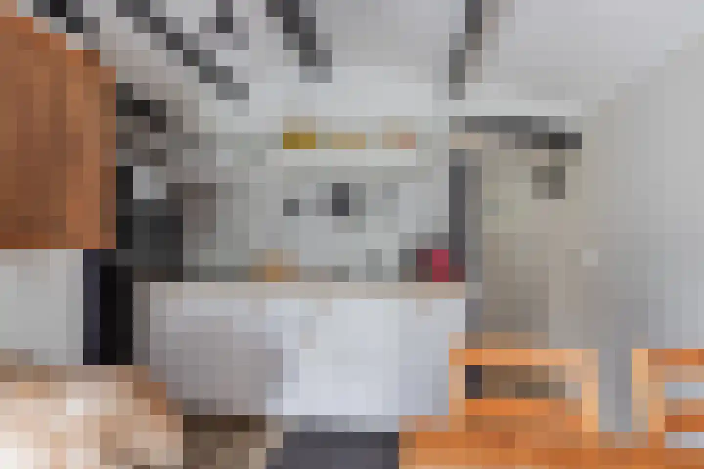 Sitadel 22 Akkrum thumbnail 49