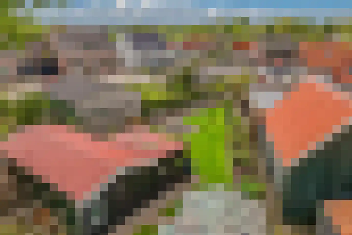 Sitadel 22 Akkrum thumbnail 55