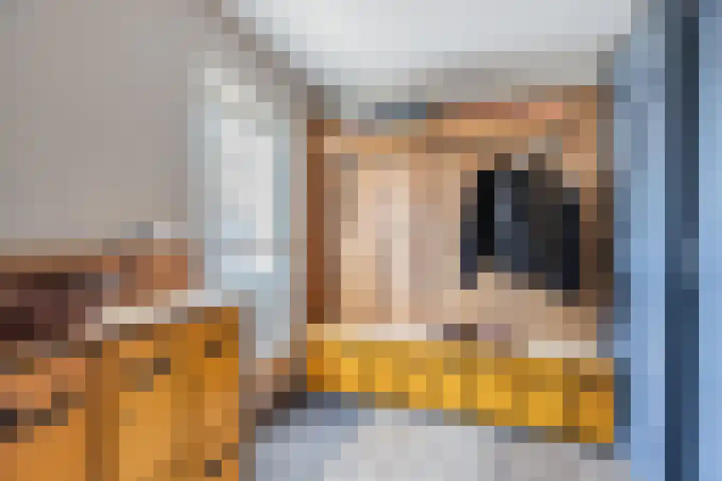 Sitadel 22 Akkrum thumbnail 6