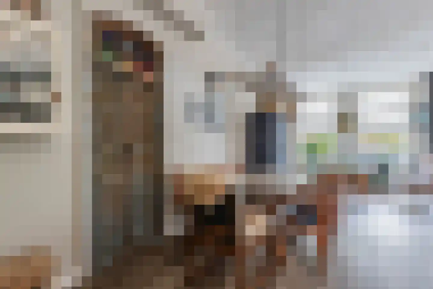Sitadel 22 Akkrum thumbnail 7