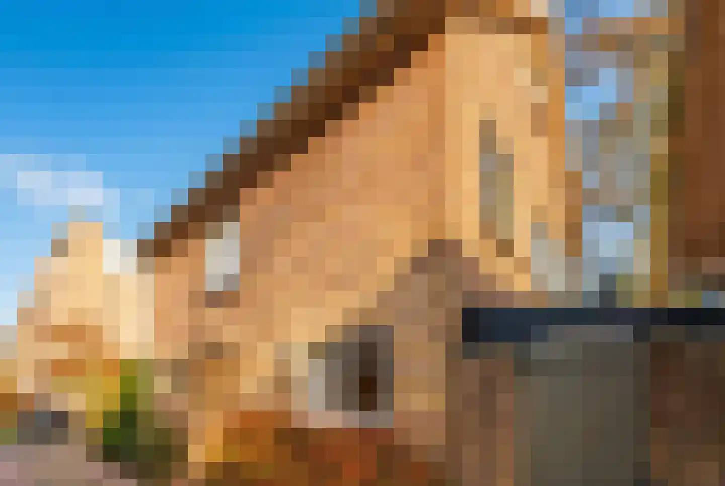 Sitiolaan 14 Doorn thumbnail 31