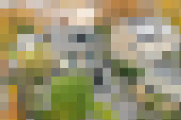 Sitiolaan 24 Doorn thumbnail 46