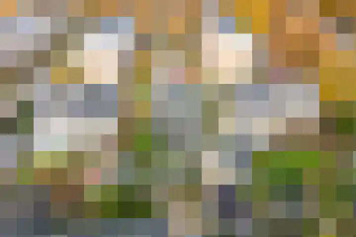 Sitiolaan 24 Doorn thumbnail 50