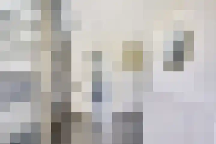 Sitiolaan 24 Doorn thumbnail 7
