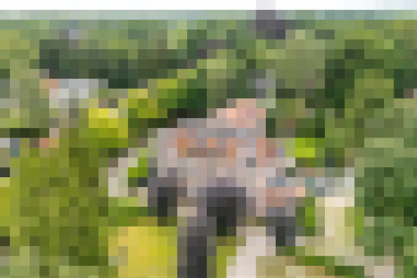 Sitiopark 2 Doorn thumbnail 30