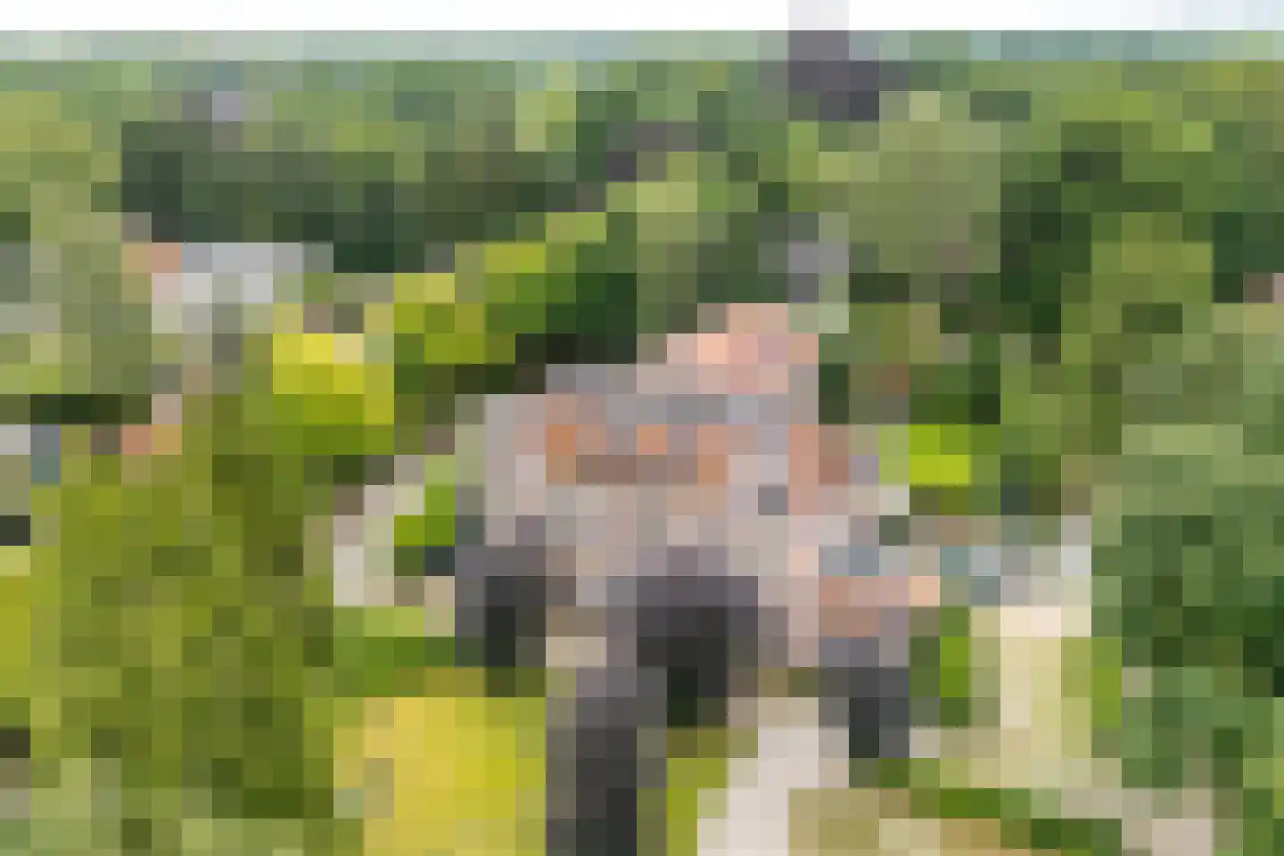 Sitiopark 2 Doorn thumbnail 33
