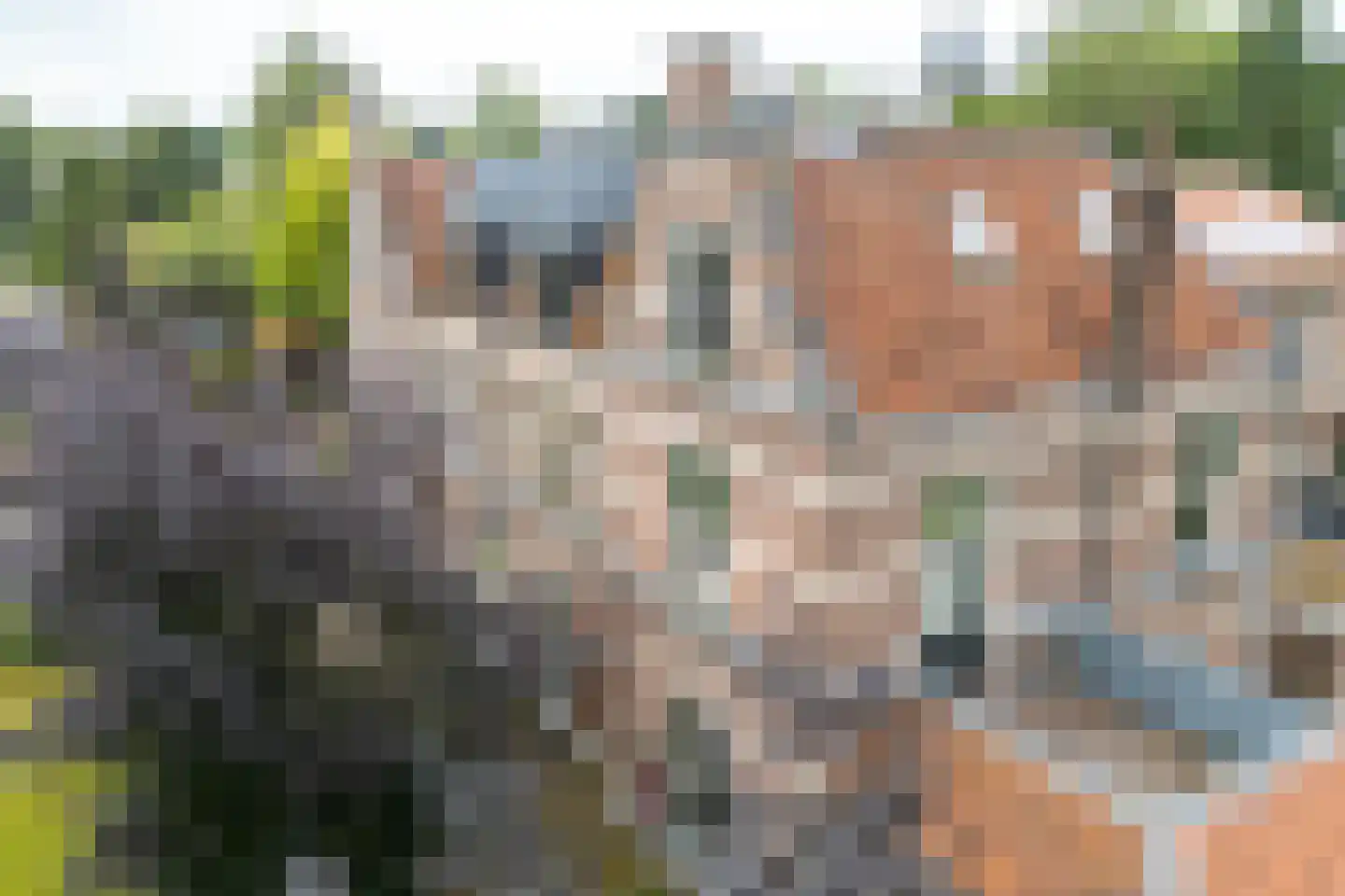 Sitiopark 2 Doorn thumbnail 34