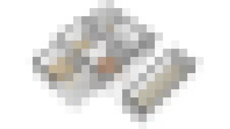 Sitiopark 2 Doorn thumbnail 39