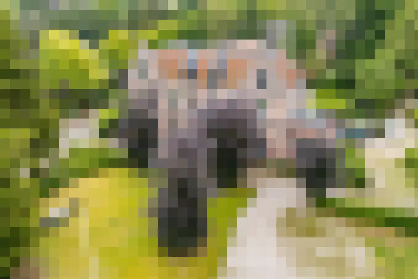 Sitiopark 2 Doorn thumbnail 7