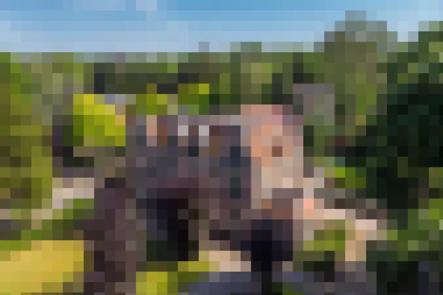 Sitiopark 2 Doorn thumbnail 8