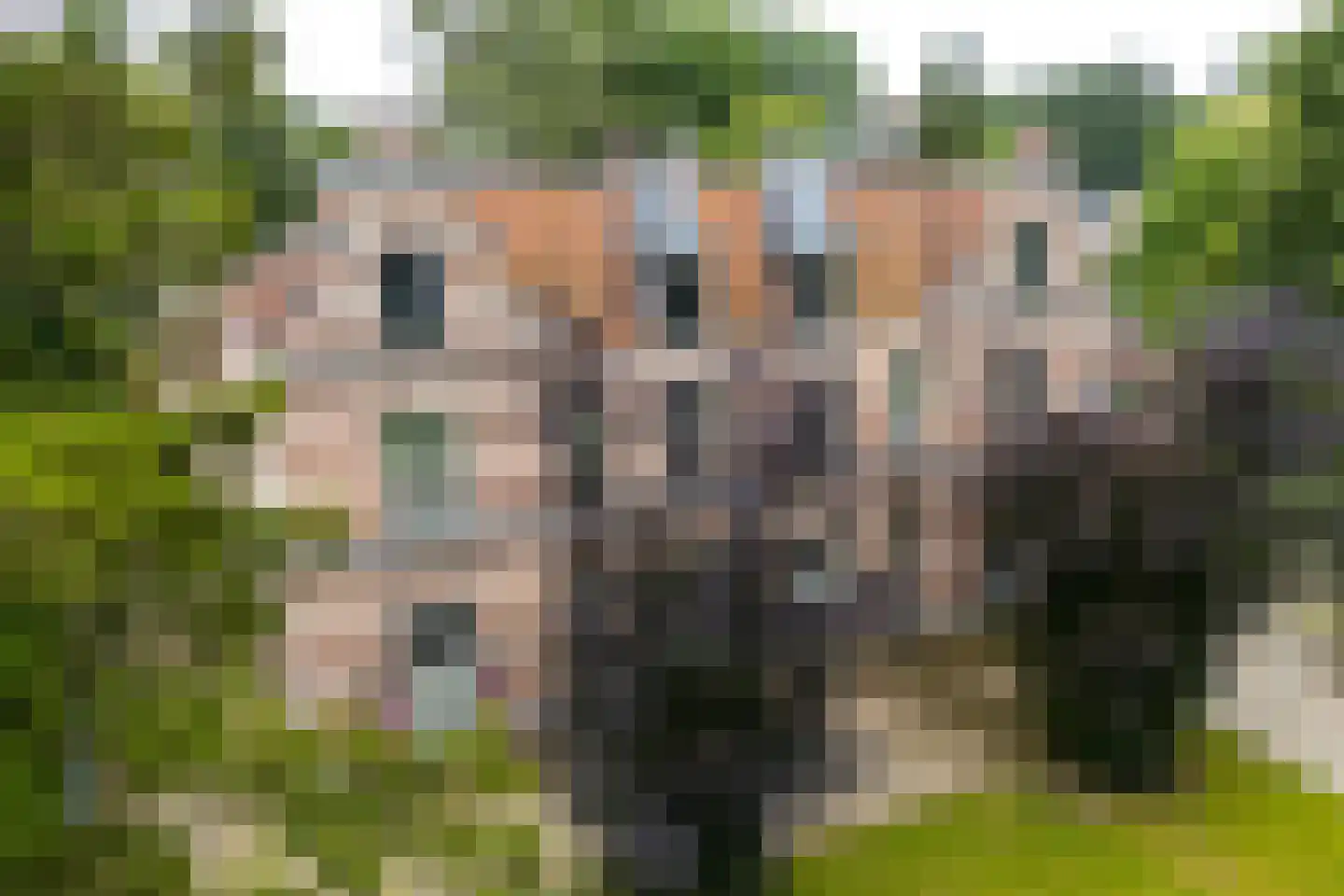 Sitiopark 4 Doorn