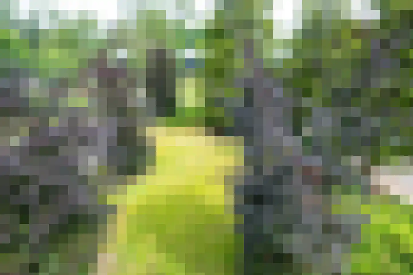 Sitiopark 4 Doorn thumbnail 18