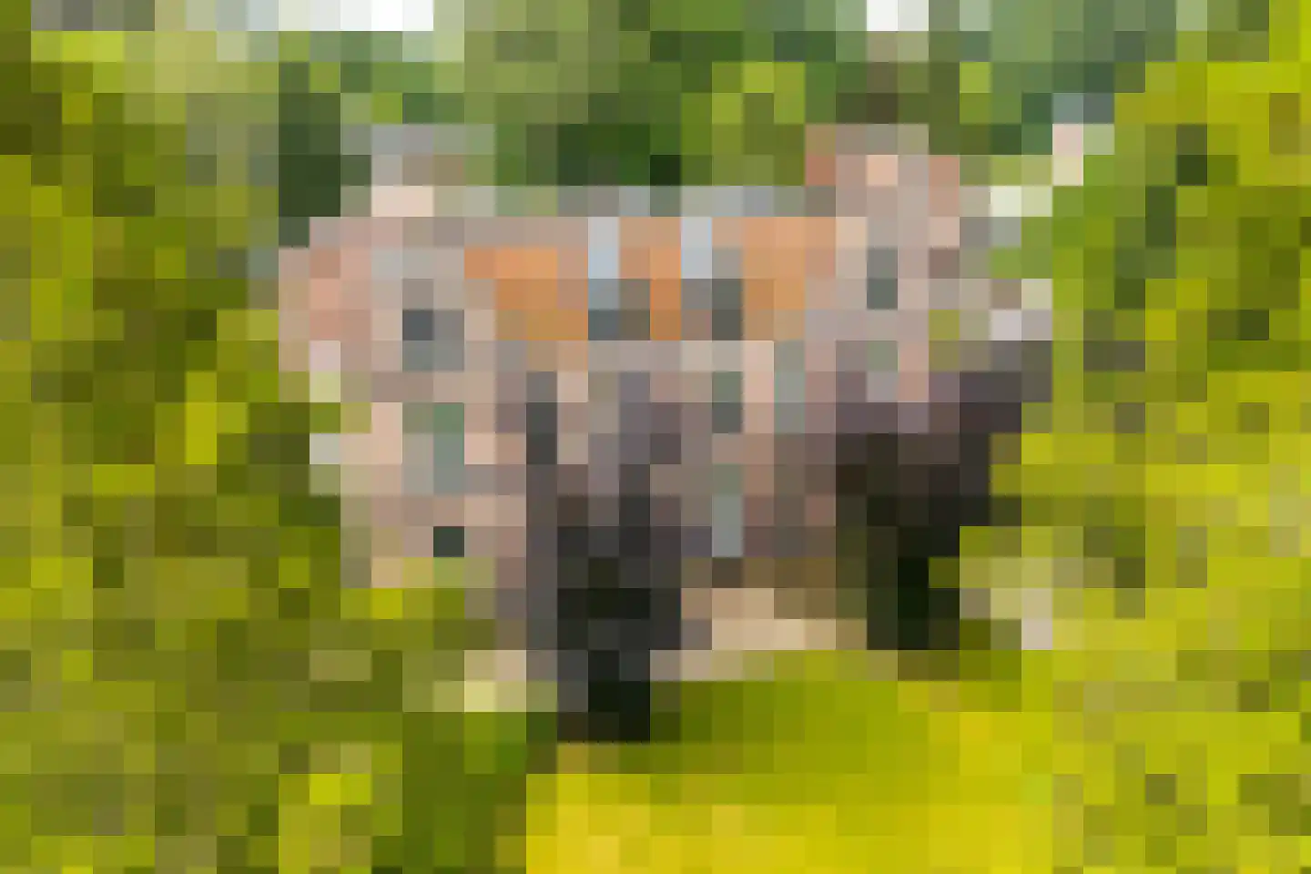 Sitiopark 4 Doorn thumbnail 5