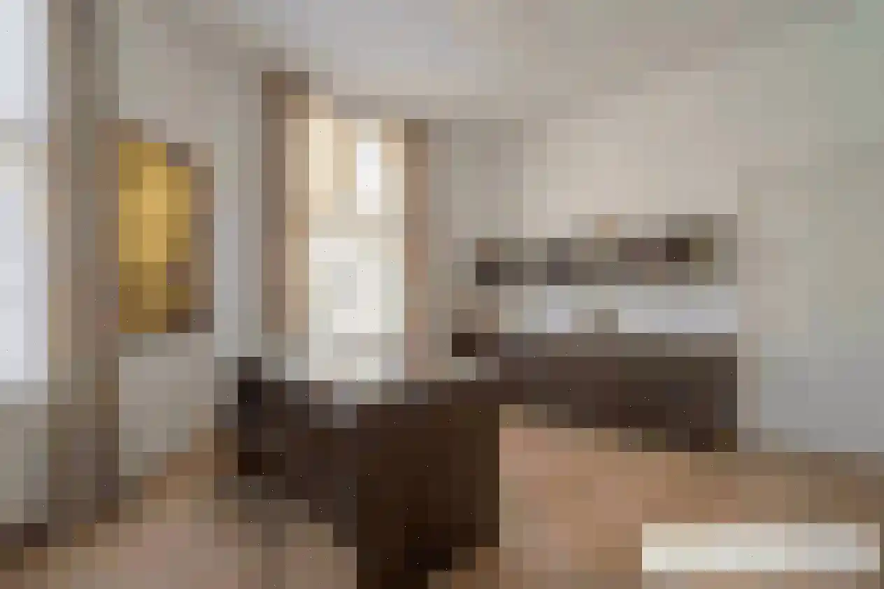 Sitiopark 4 Doorn thumbnail 9