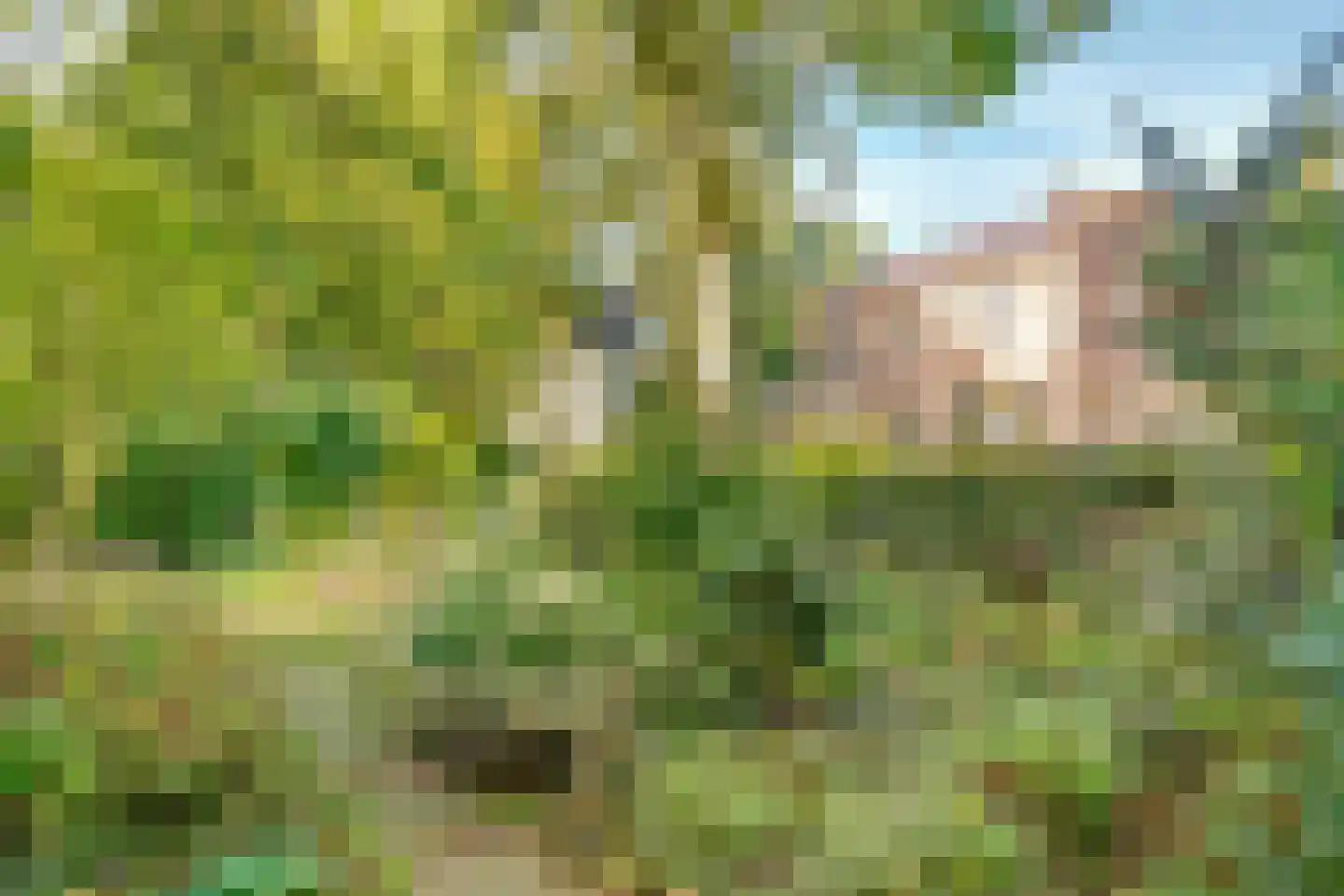 Sitiopark 5 Doorn thumbnail 36