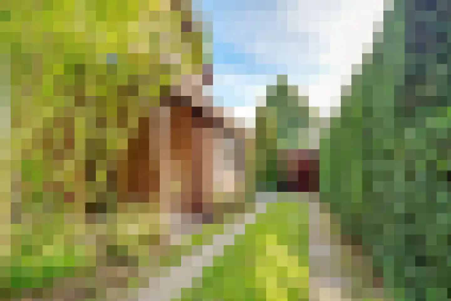 Sitiopark 5 Doorn thumbnail 39