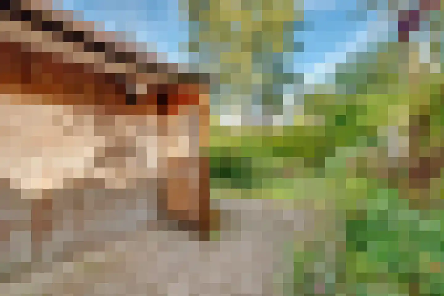 Sitiopark 5 Doorn thumbnail 41