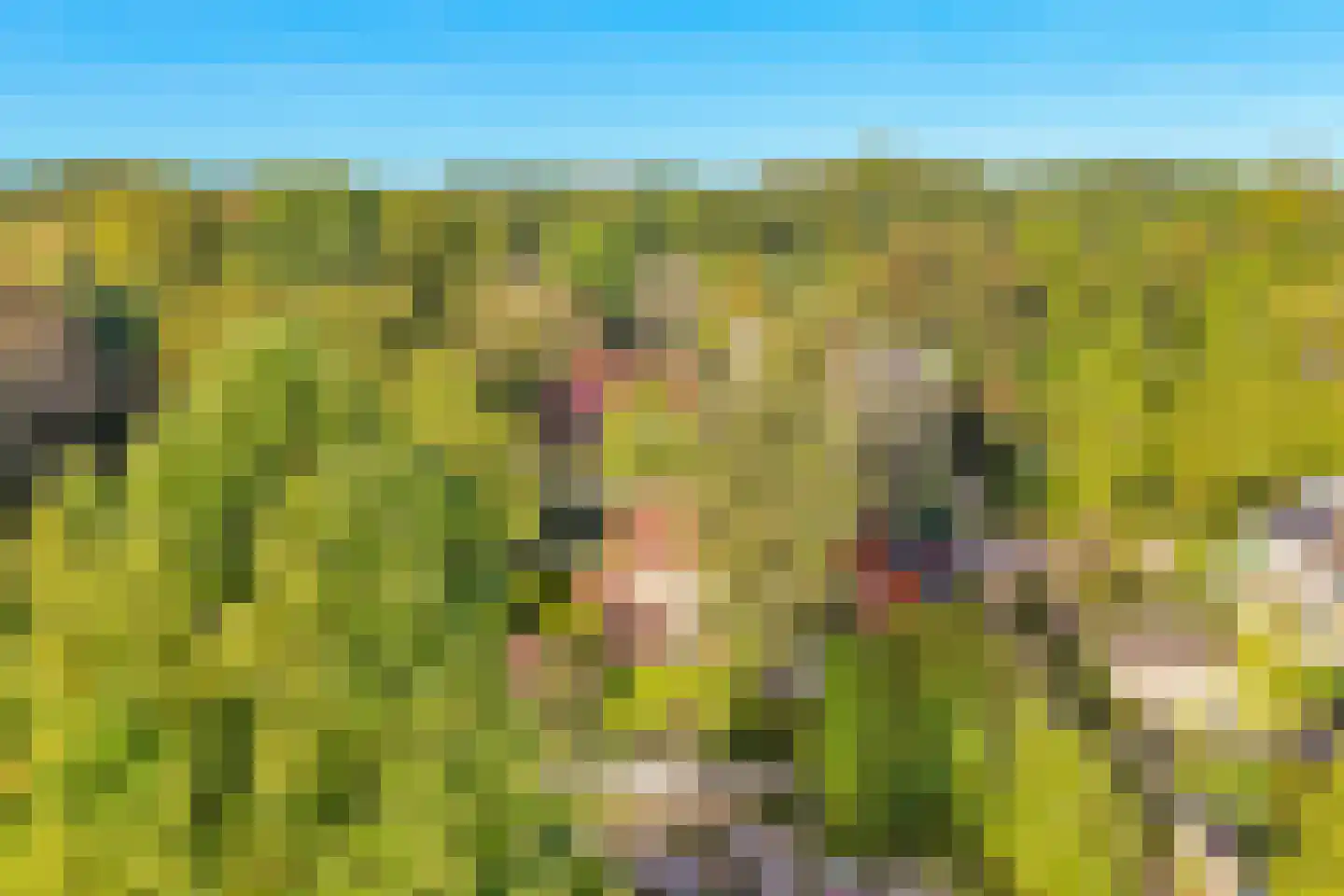 Sitiopark 5 Doorn thumbnail 46