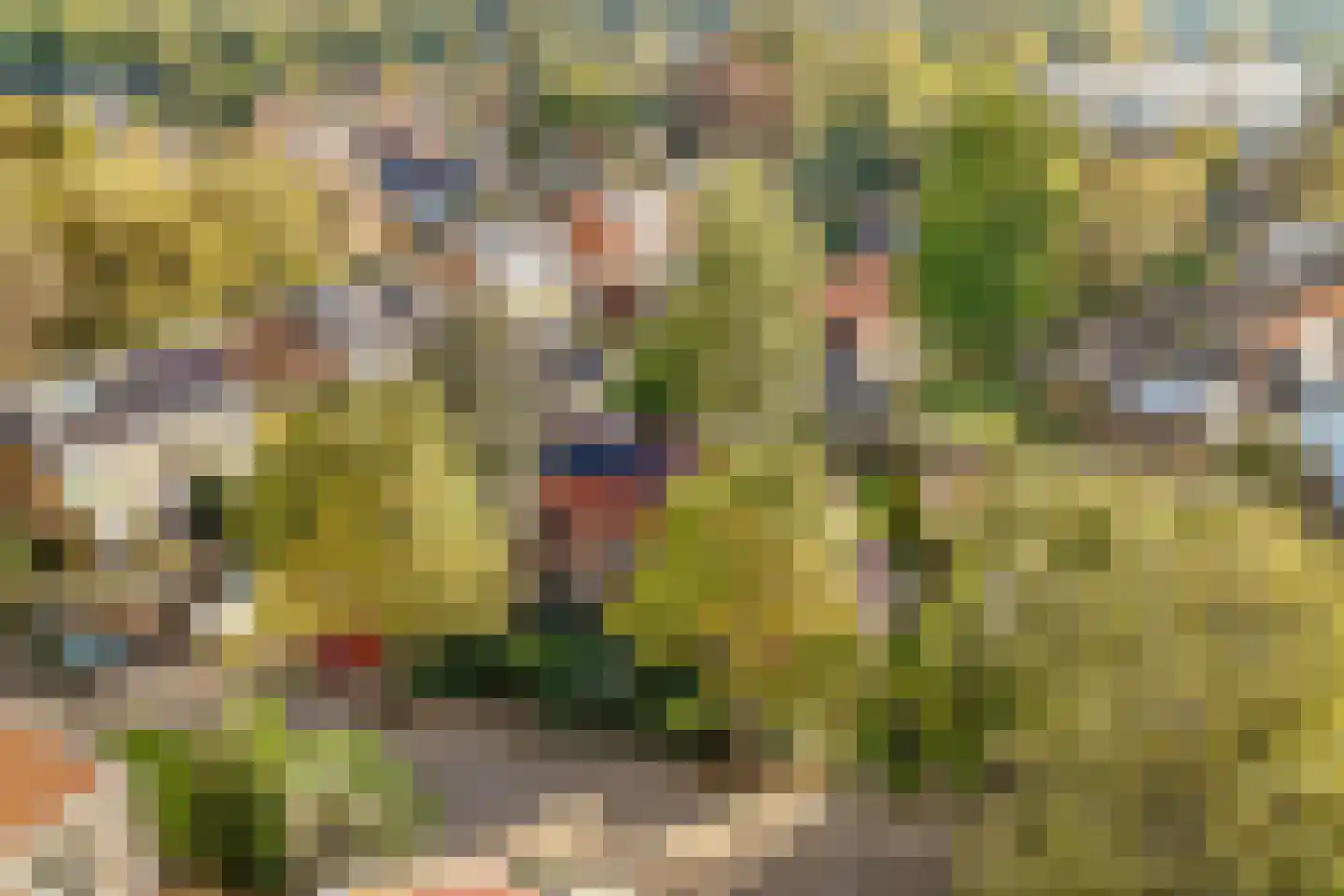 Sitiopark 5 Doorn thumbnail 6