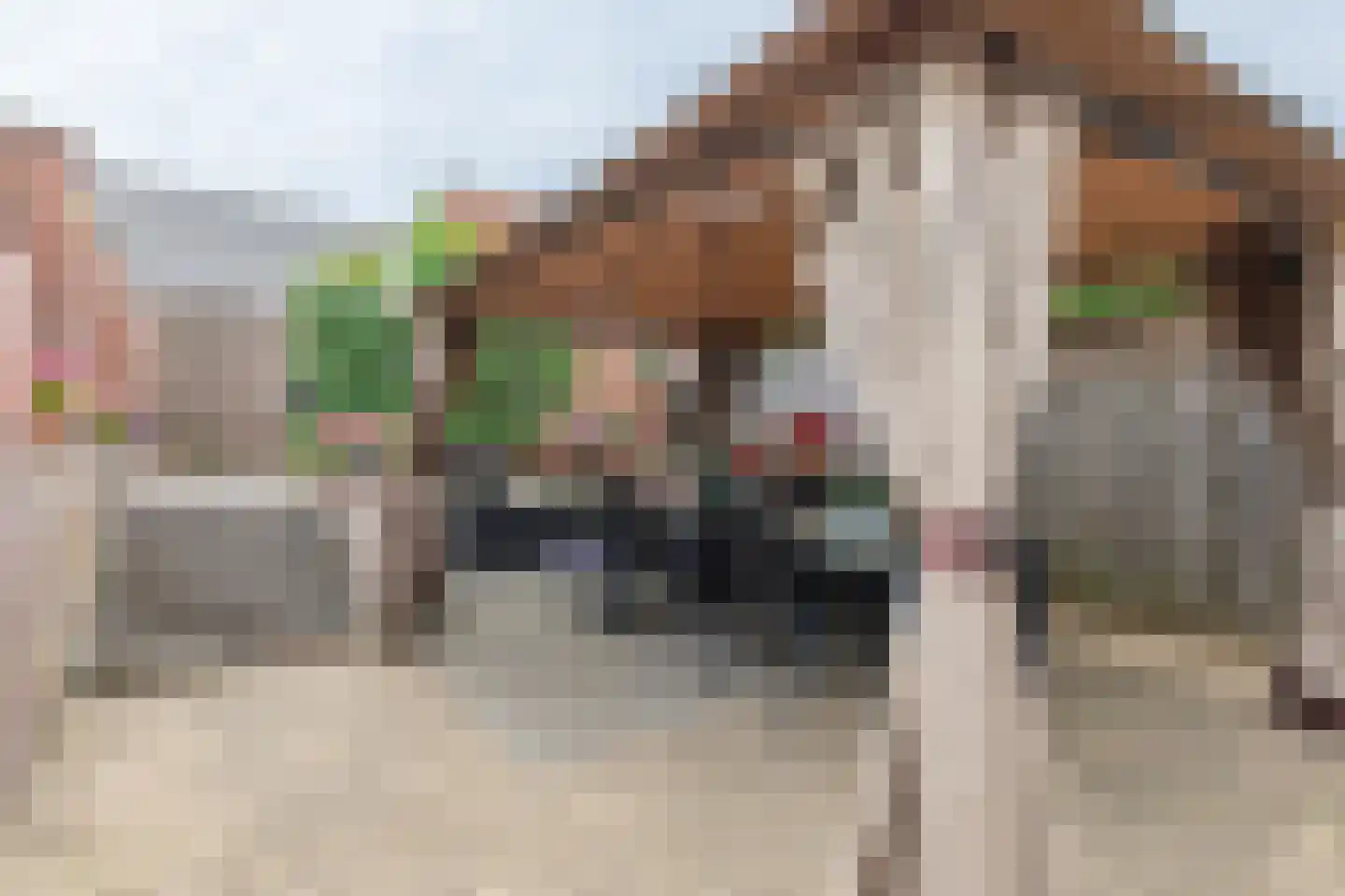 Sittarderweg 139 Heerlen thumbnail 22