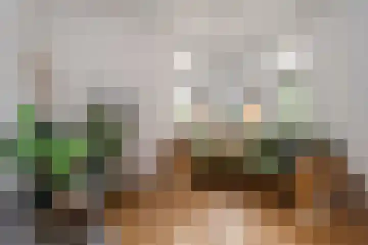 Sittarderweg 14 Born thumbnail 22
