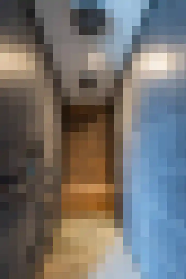 Sittarderweg 14 Born thumbnail 36
