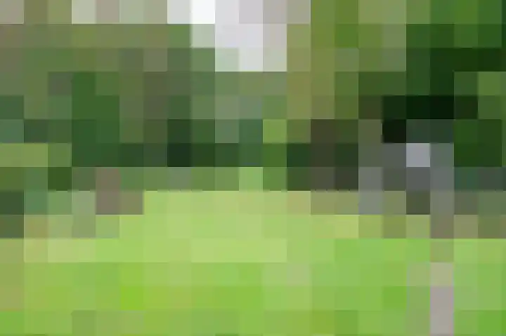 Sittarderweg 14 Born thumbnail 4