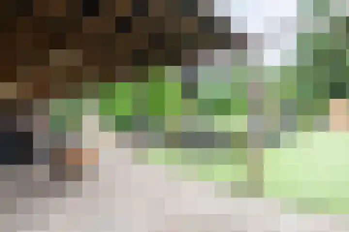 Sittarderweg 14 Born thumbnail 68