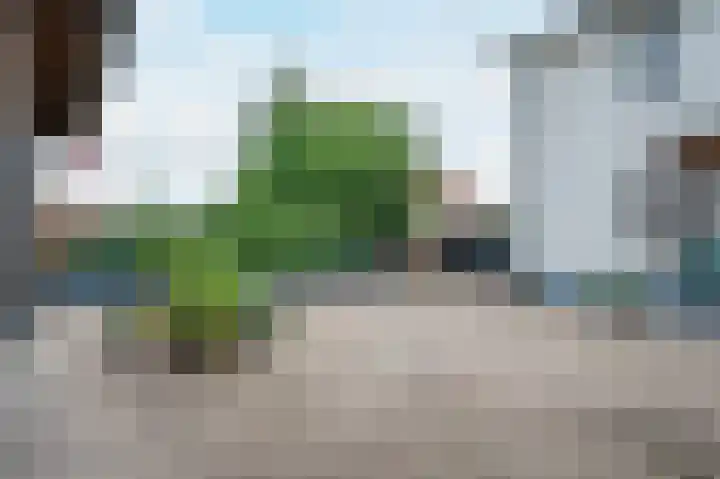 Sittarderweg 14 Born thumbnail 7