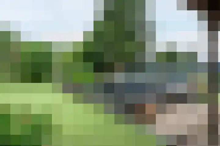 Sittarderweg 14 Born thumbnail 71
