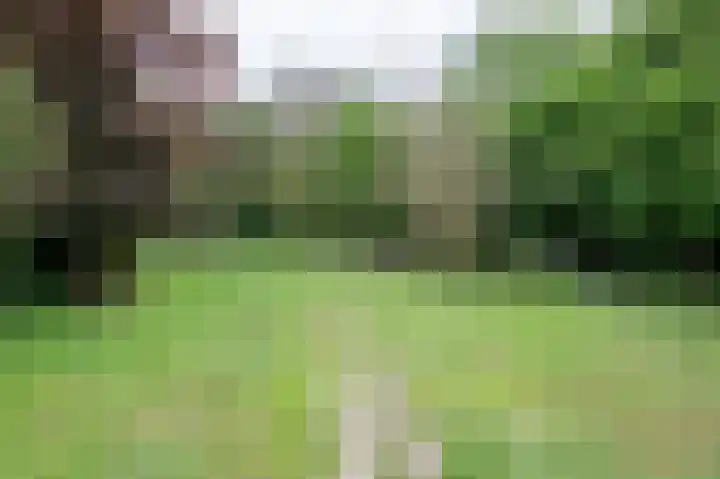 Sittarderweg 14 Born thumbnail 72