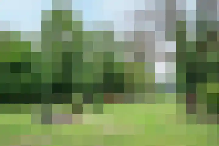 Sittarderweg 14 Born thumbnail 73