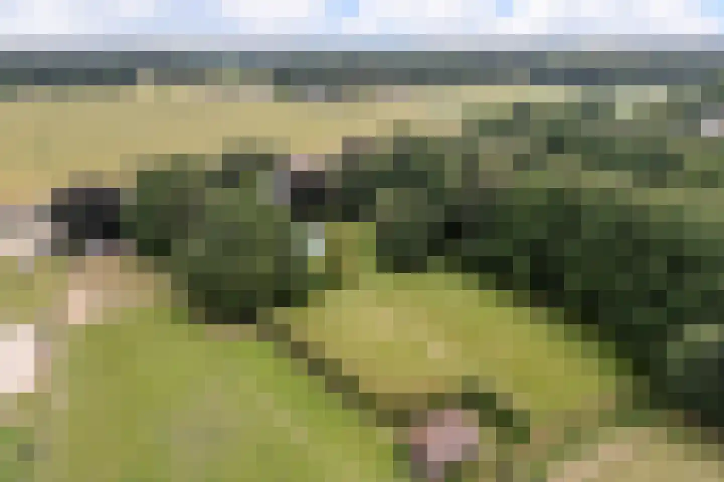 Sittarderweg 18 B Limbricht thumbnail 10