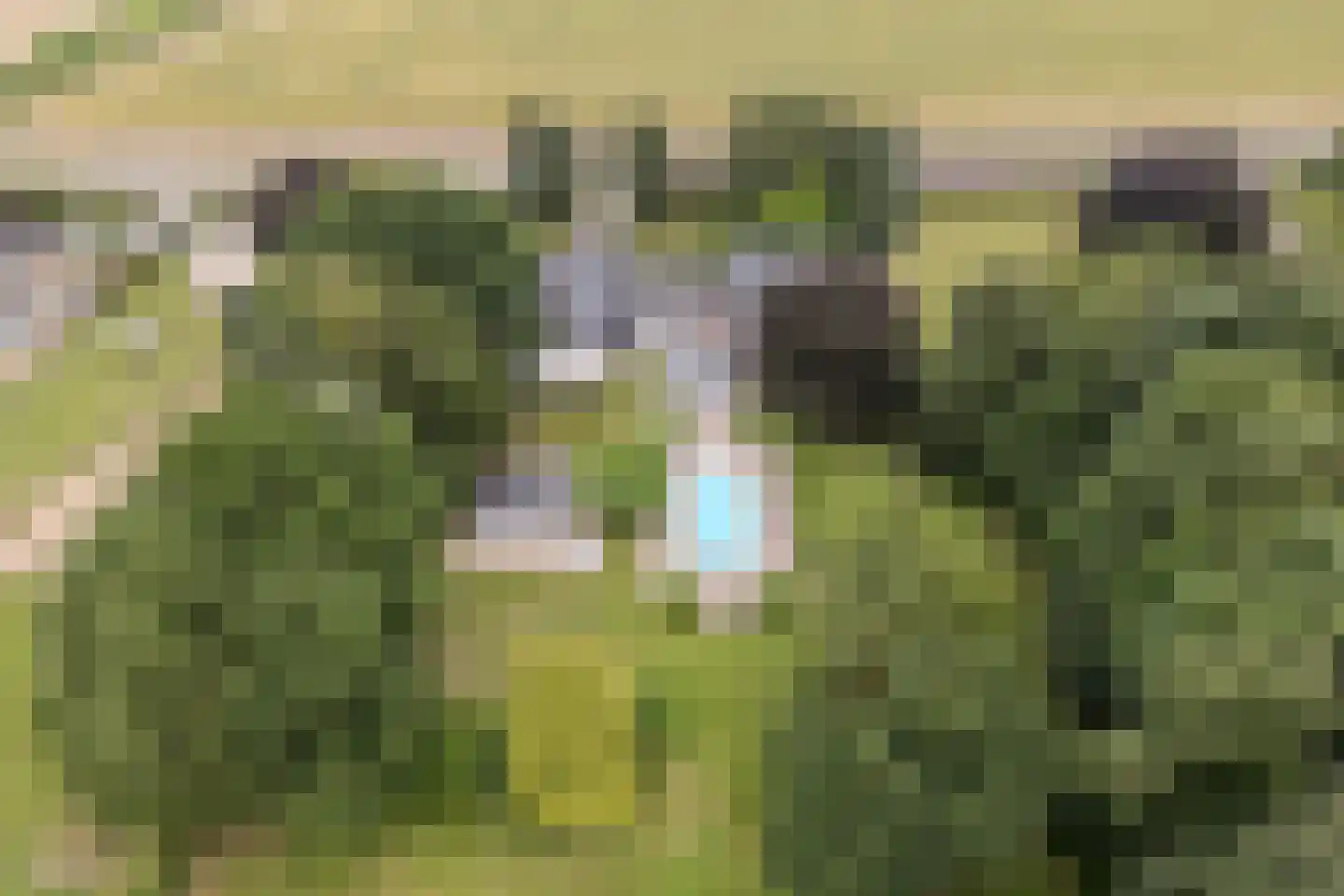 Sittarderweg 18 B Limbricht thumbnail 11