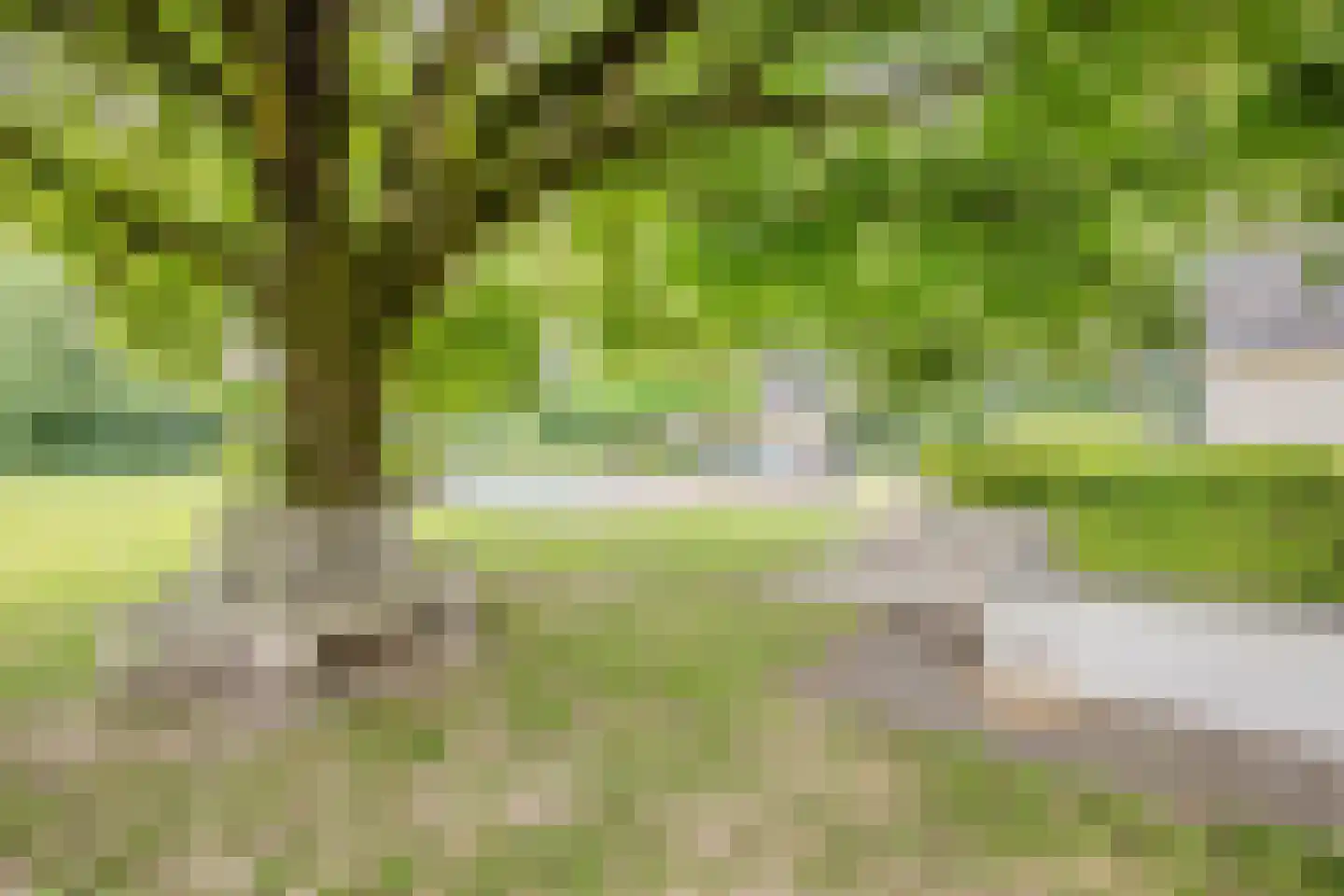 Sittarderweg 18 B Limbricht thumbnail 20