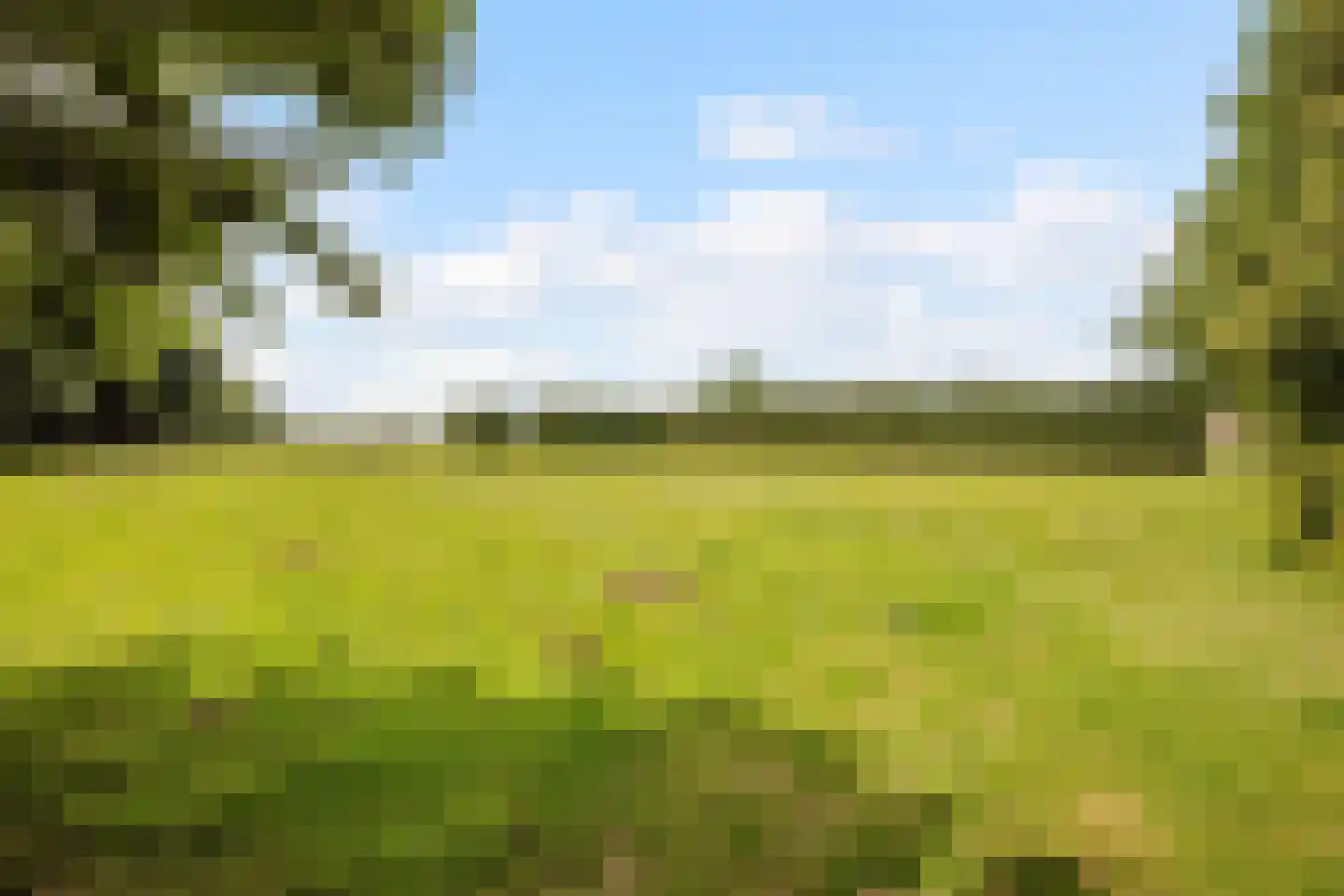 Sittarderweg 18 B Limbricht thumbnail 38
